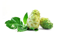 Thumbnail for Noni 15 Herbs Enzyme Avleh